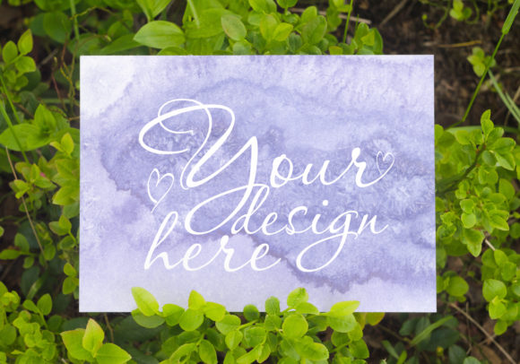 Elevate Your Brand with a Card Mockup in the Blueberry Bushes