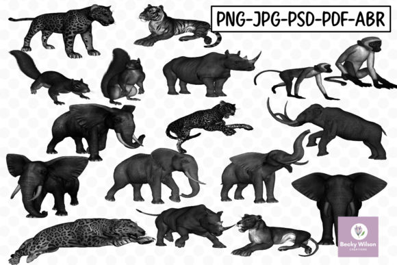 Elevating Digital Art with Animal Brushes and 17 Animal Illustrations