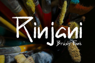 Rinjani: The Bold Script Font for Raw Expression